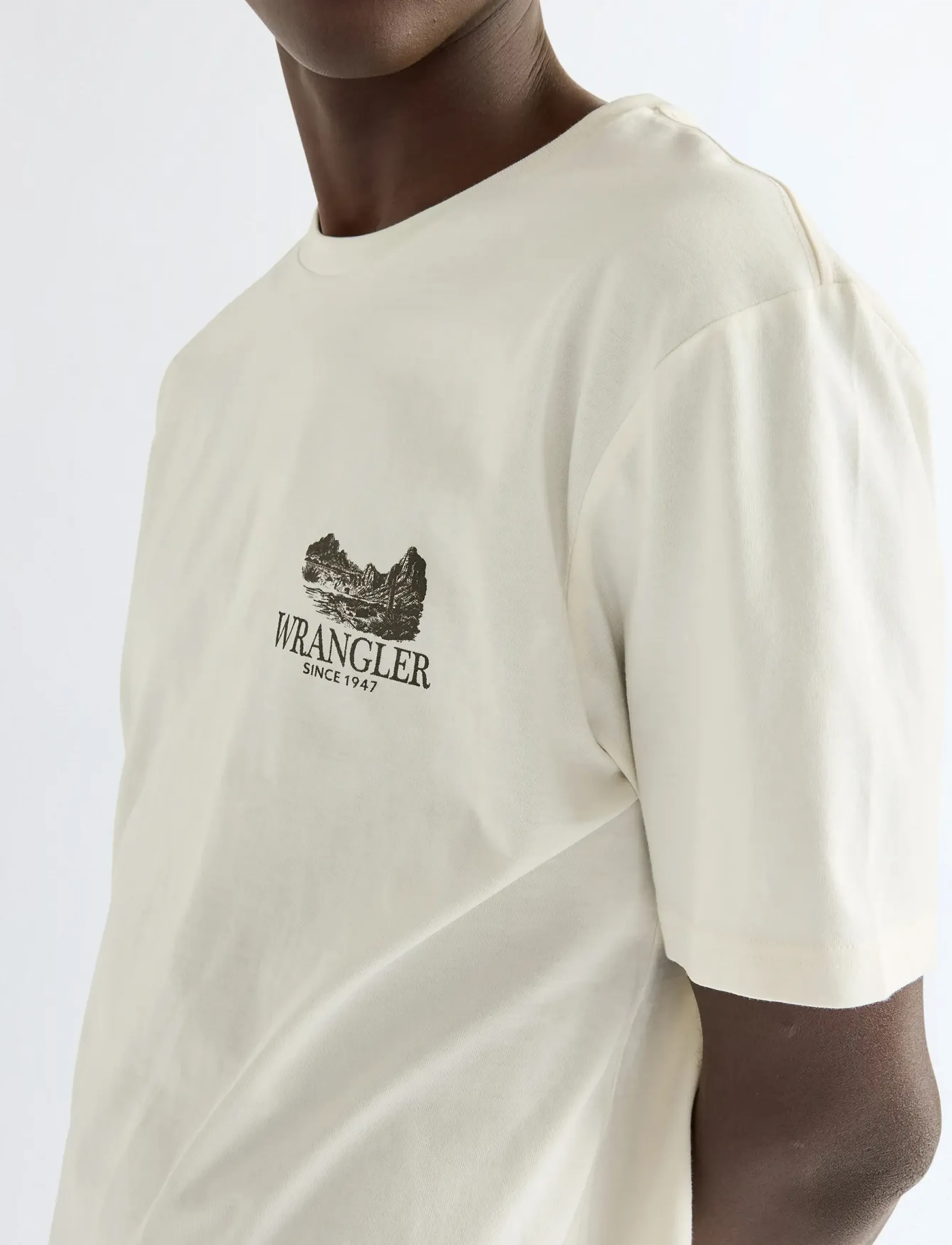 Wrangler - GRAPHIC TEE - sügisesed riided - worn white - 5