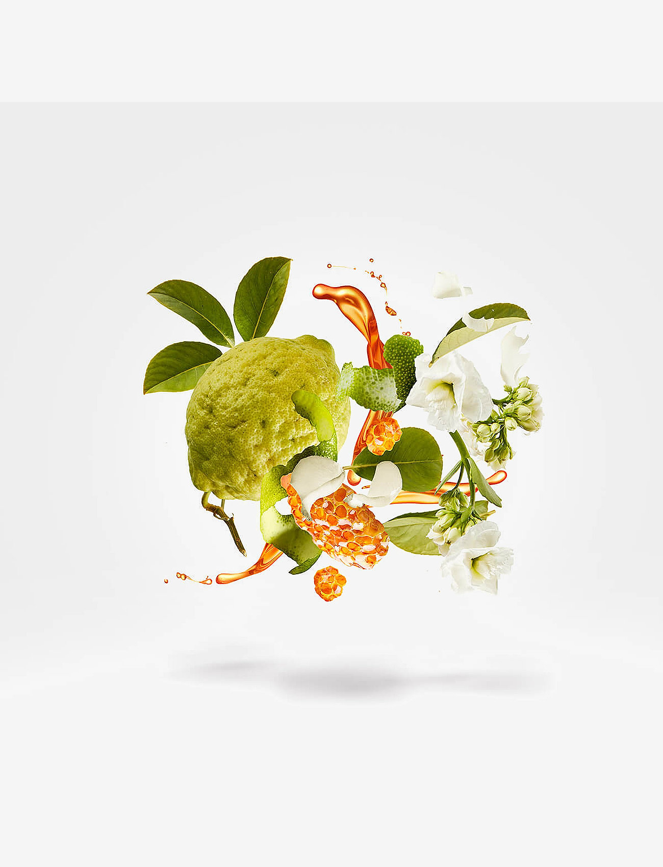 Xerjoff - Naxos EDP 100ml - unisex - clear - 3