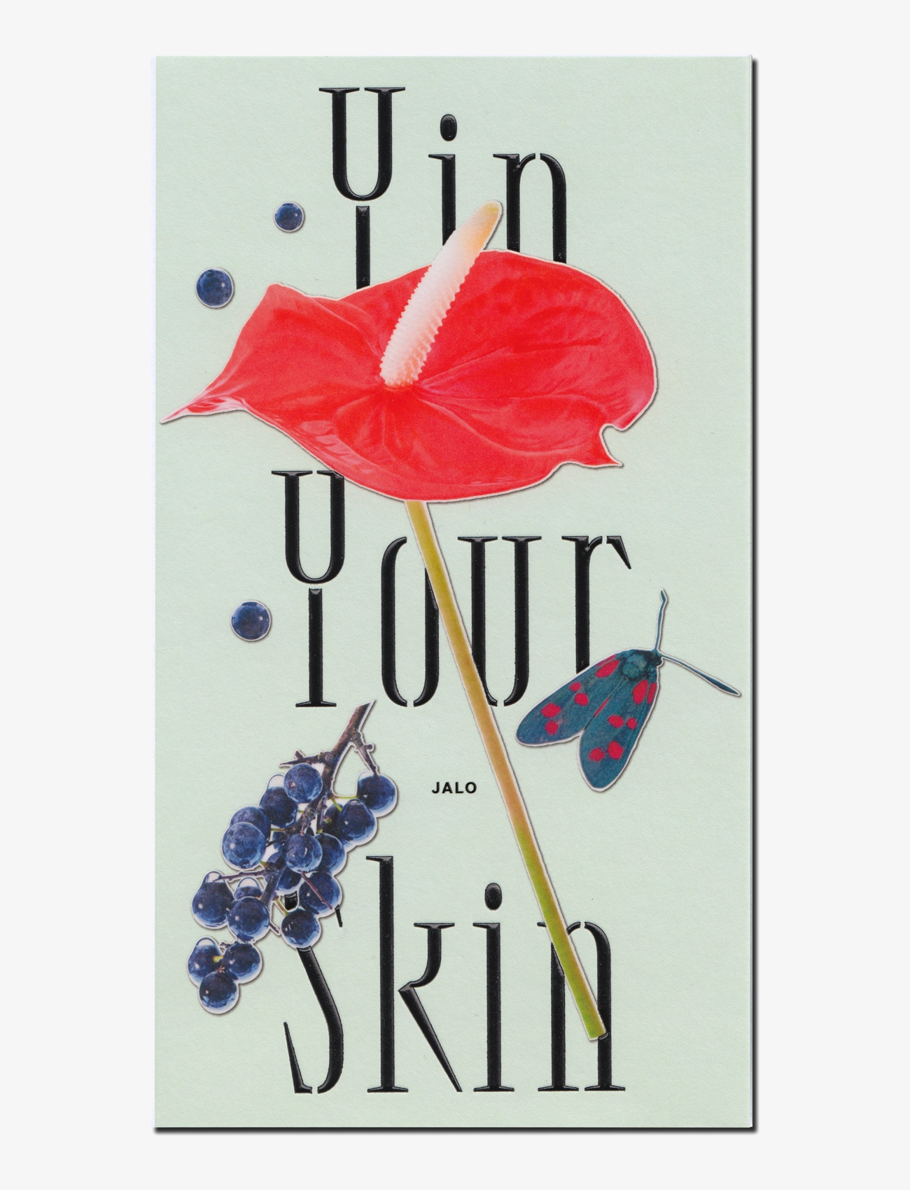 Yin your skin - Yin Your Skin® JALO Advanced Gua Sha Tool - clear - 4