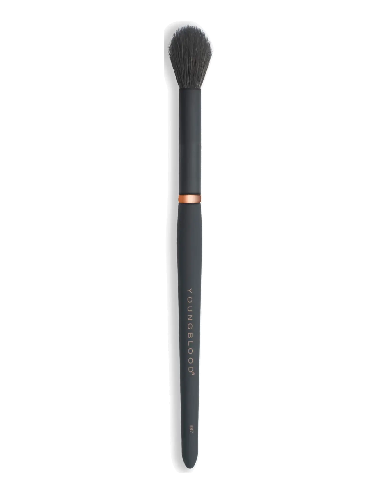Youngblood Mineral Cosmetics YB Highlight Brush - YB7 - Youngblood - CLEAR / undefined