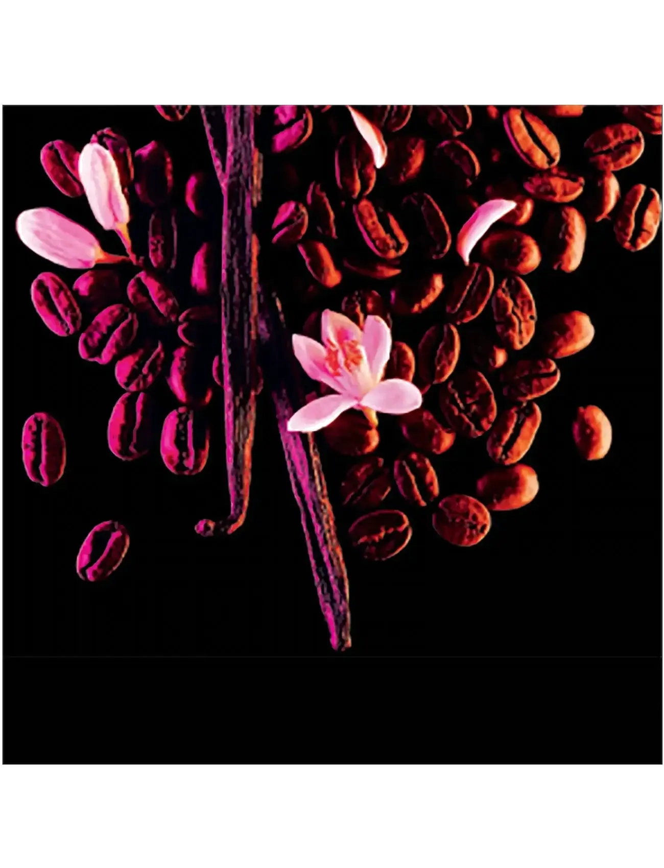 Black Opium Eau de Parfum 5