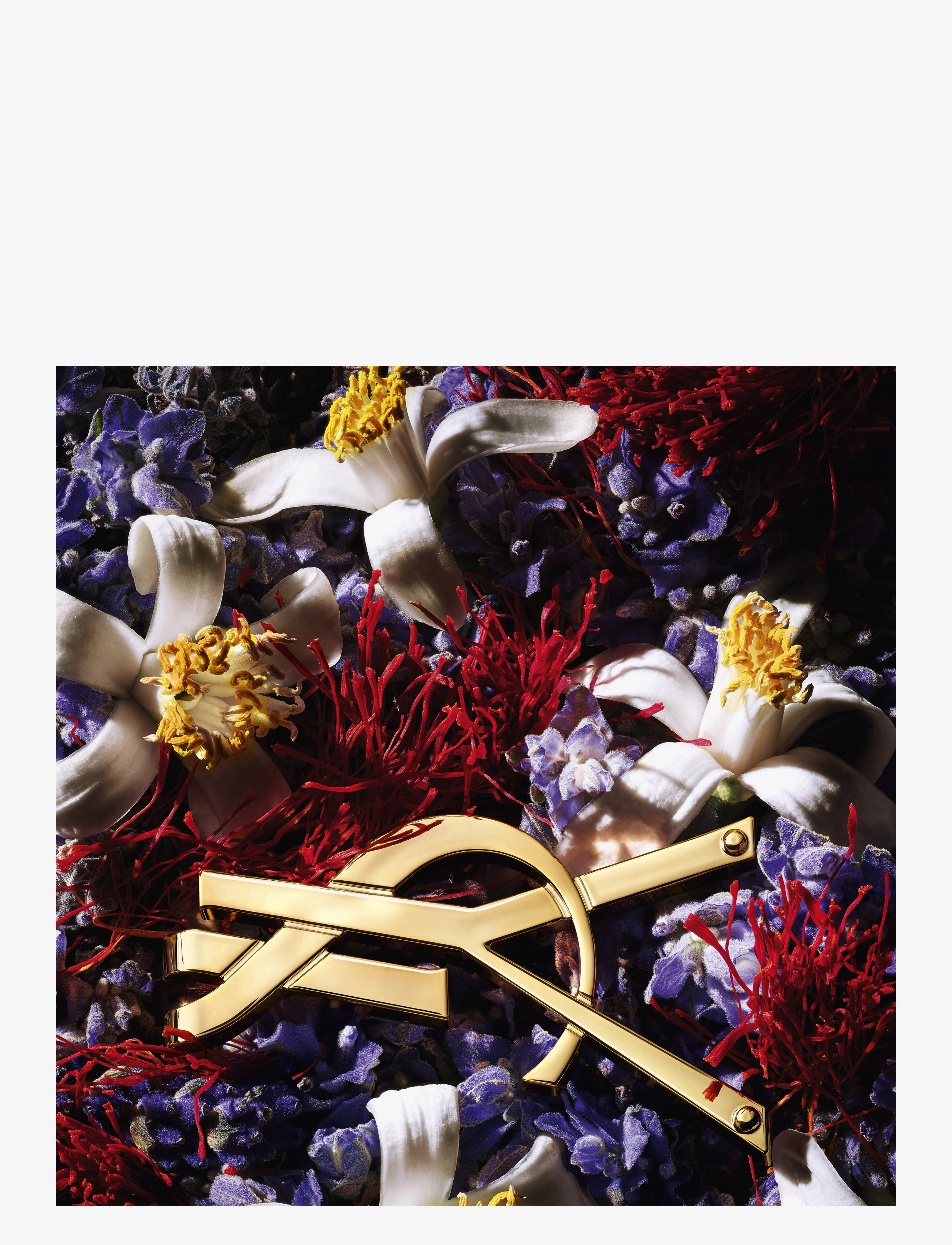 Libre Le Parfum 5