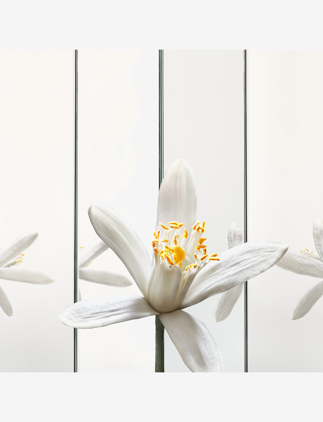 Yves Saint Laurent - Yves Saint Laurent MYSLF Eau de Parfum Refill 150ml - till honom  - clear - 5