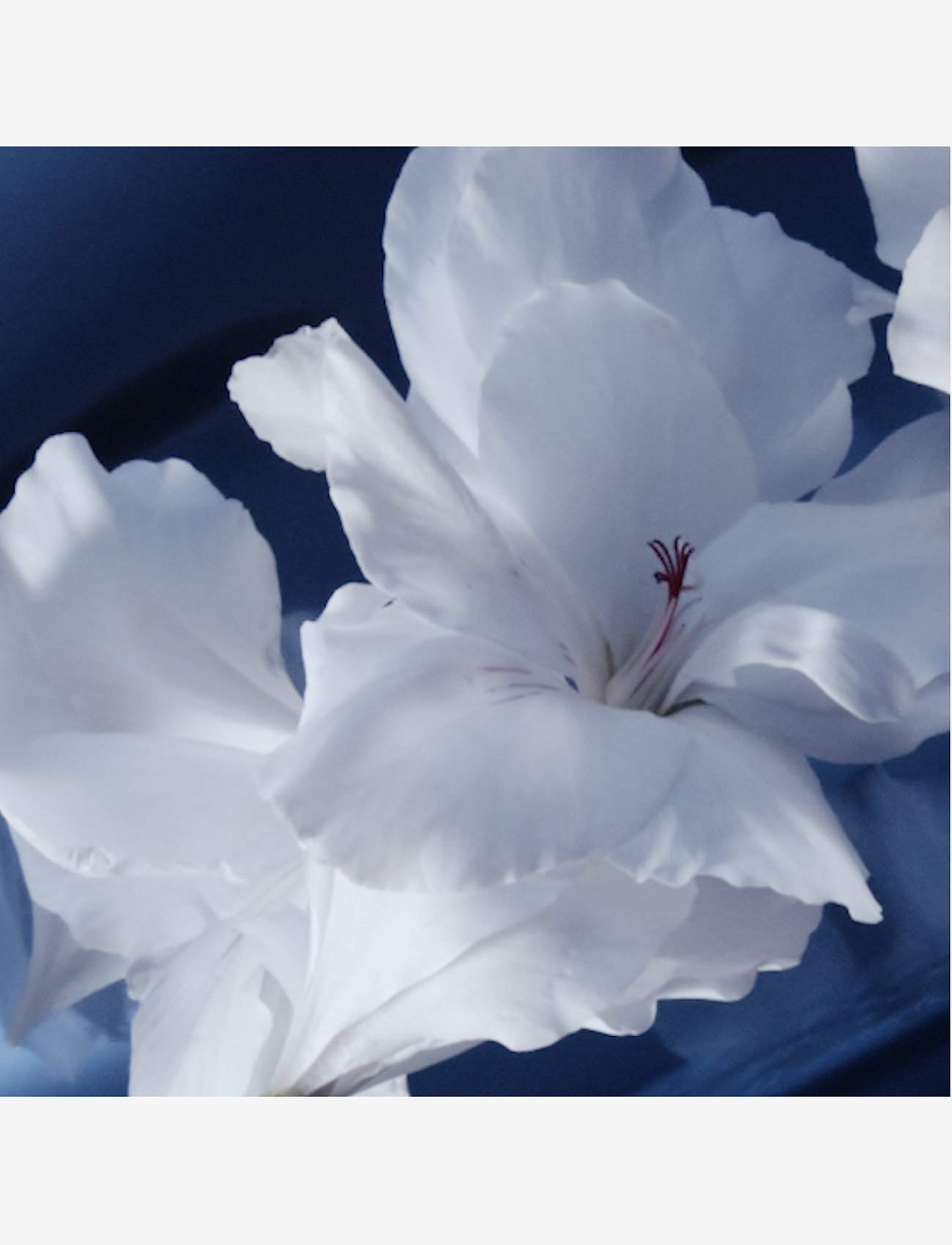 Yves Saint Laurent - Yves Saint Laurent Y L'Elixir 60ml - till honom  - clear - 5