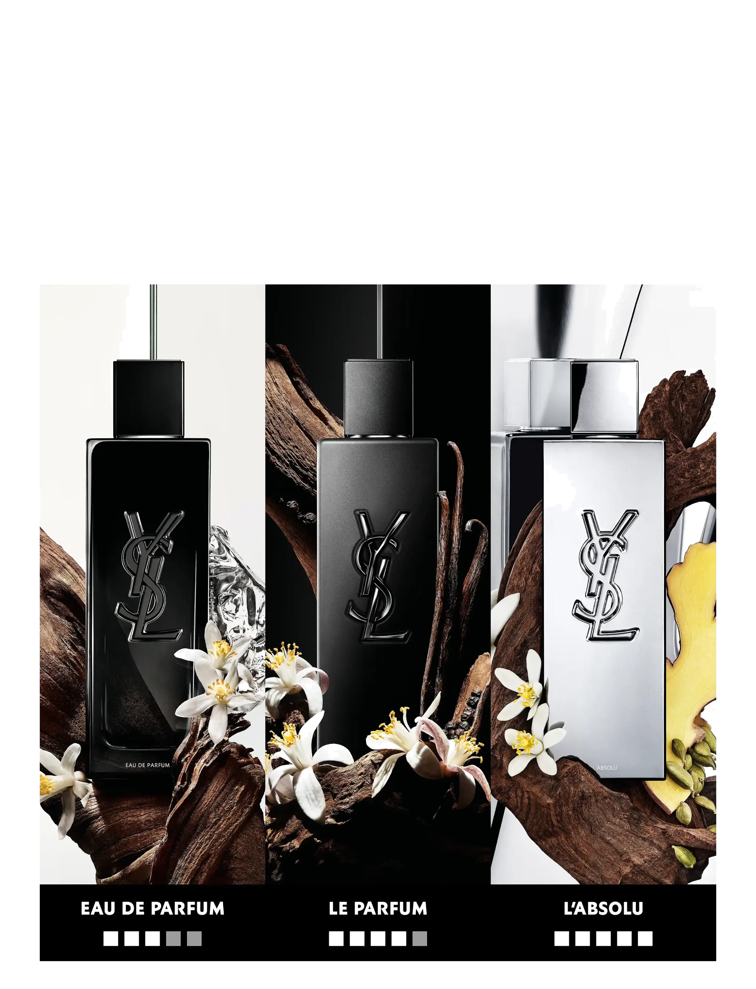 Myslf L'absolu 5