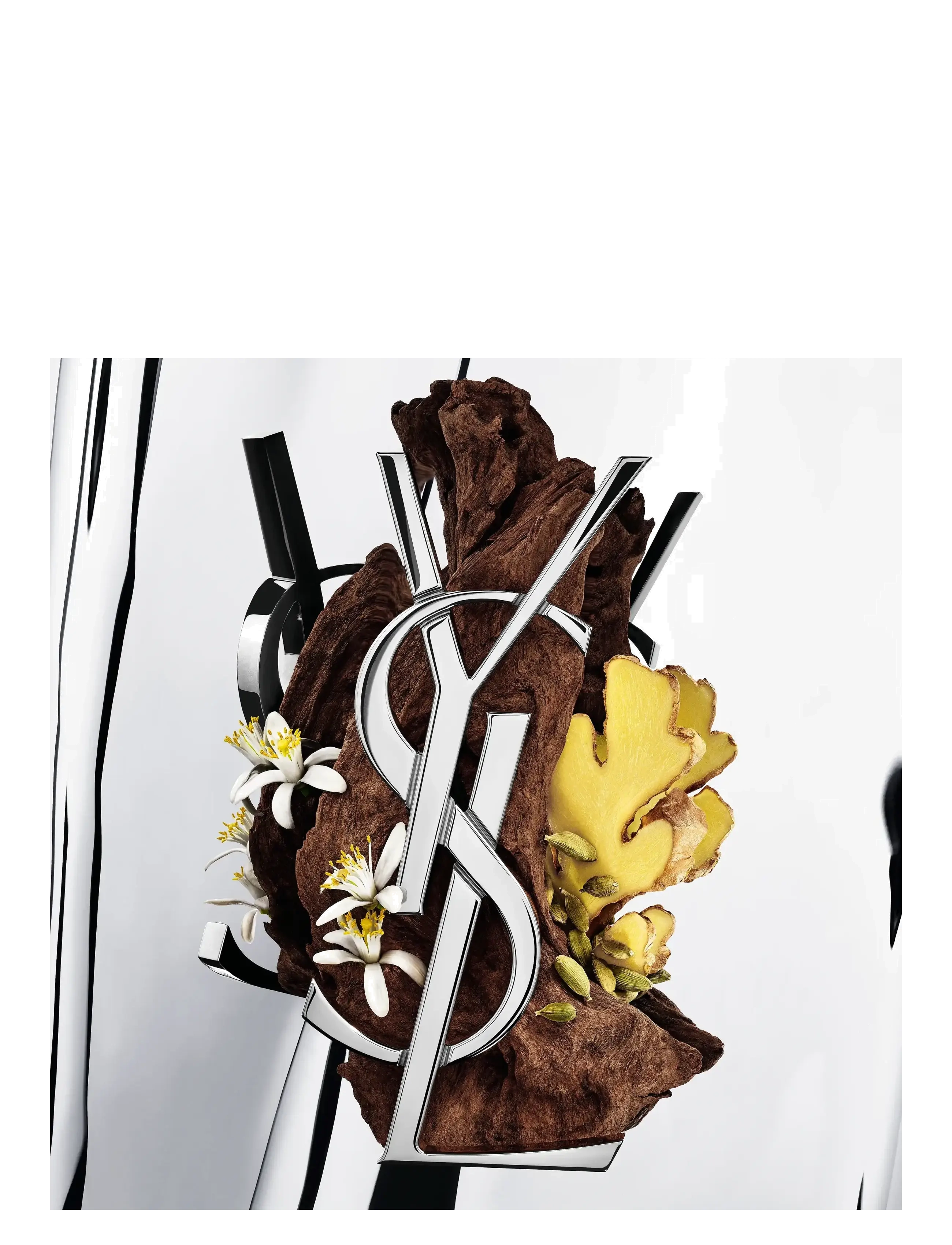 Myslf L'absolu 6