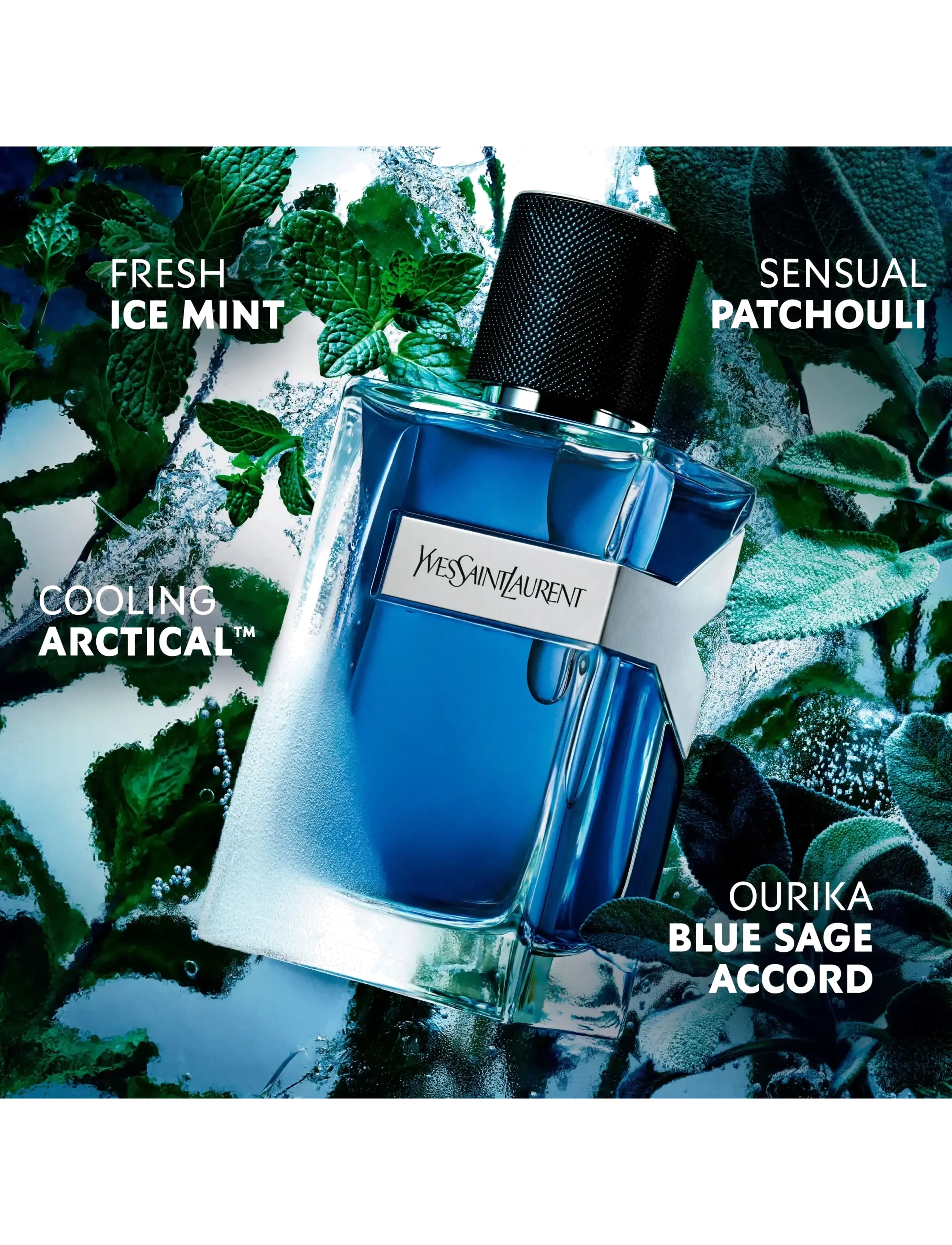 Y Iced Cologne Eau De Toilette Intense 3