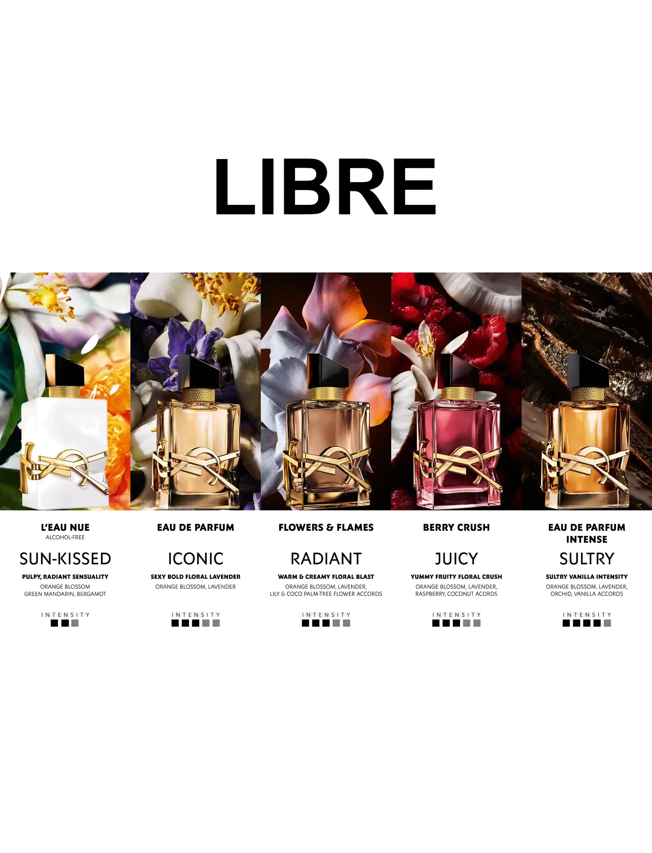 Yves Saint Laurent - Yves Saint Laurent Libre Berry Crush  - til henne - clear - 4