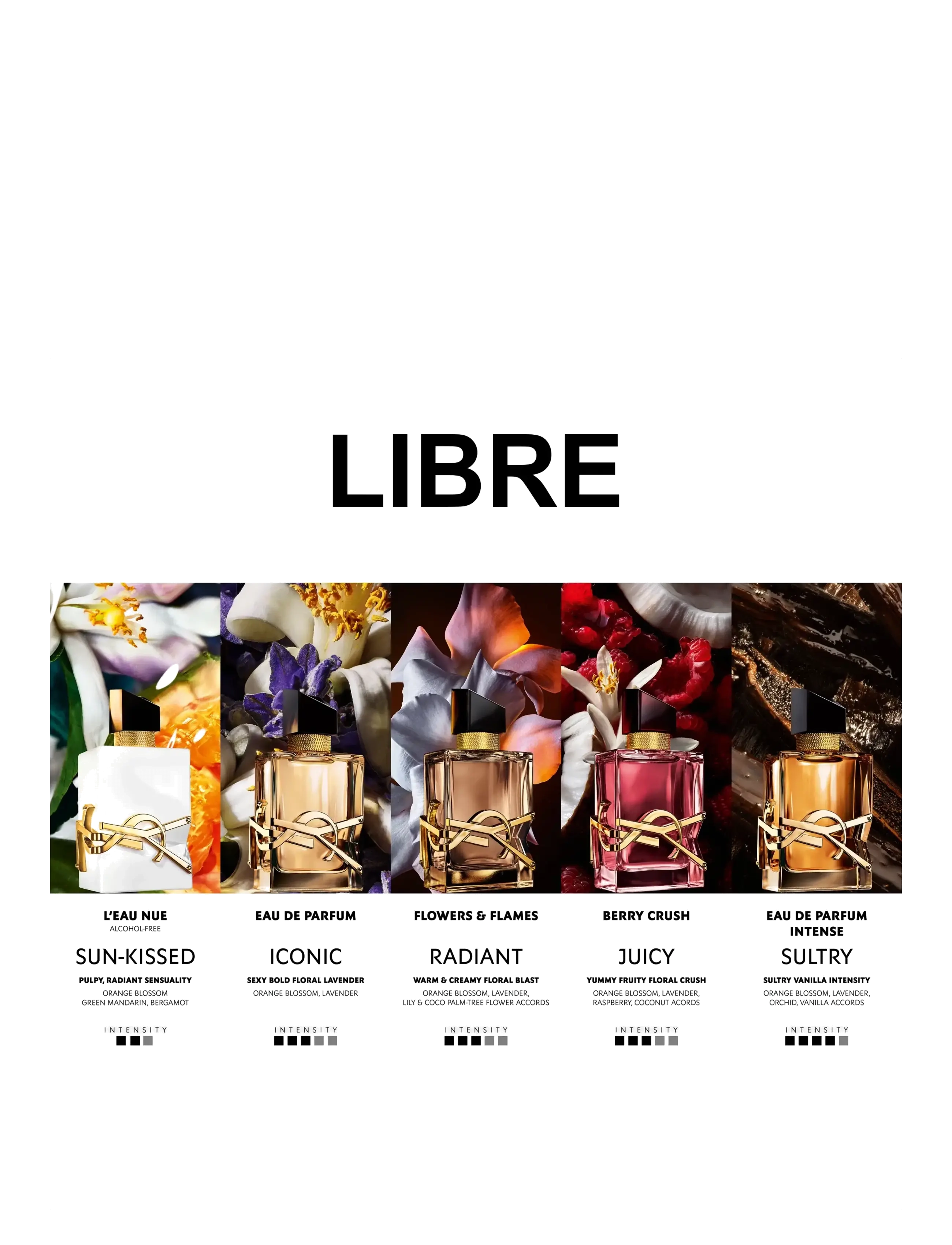 Yves Saint Laurent - Yves Saint Laurent Libre Berry Crush  - til hende  - clear - 5