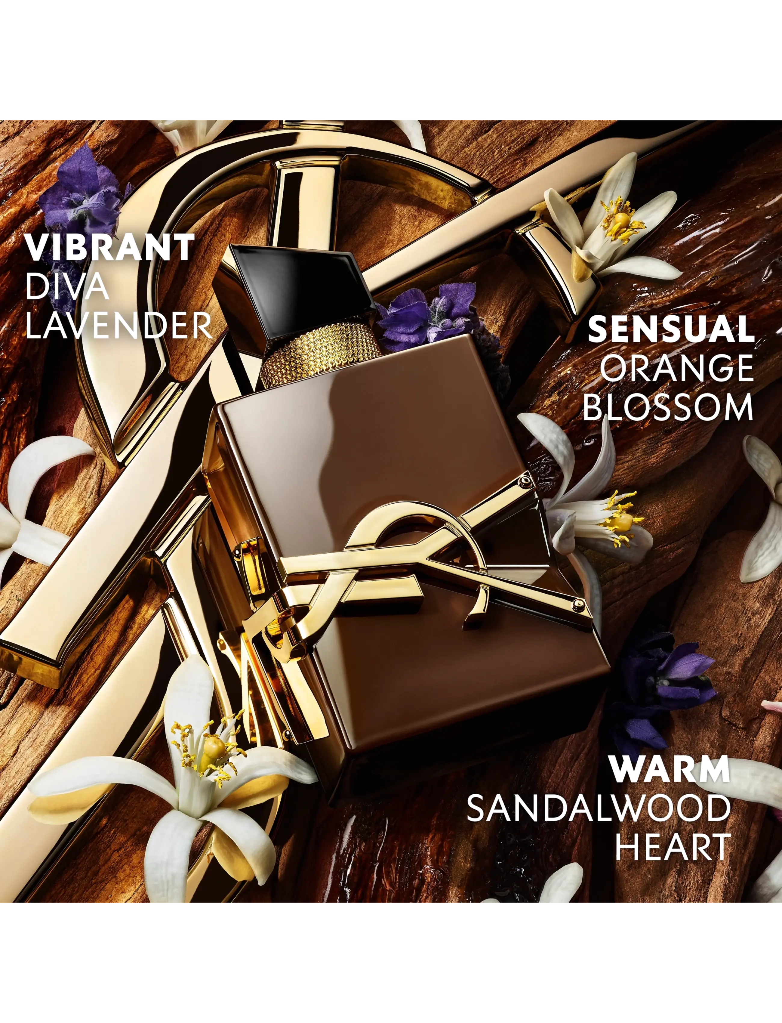 Yves Saint Laurent - Yves Saint Laurent LIBRE Santal Couture Eau de Parfum 50ml - bliv klar til date night - clear - 2