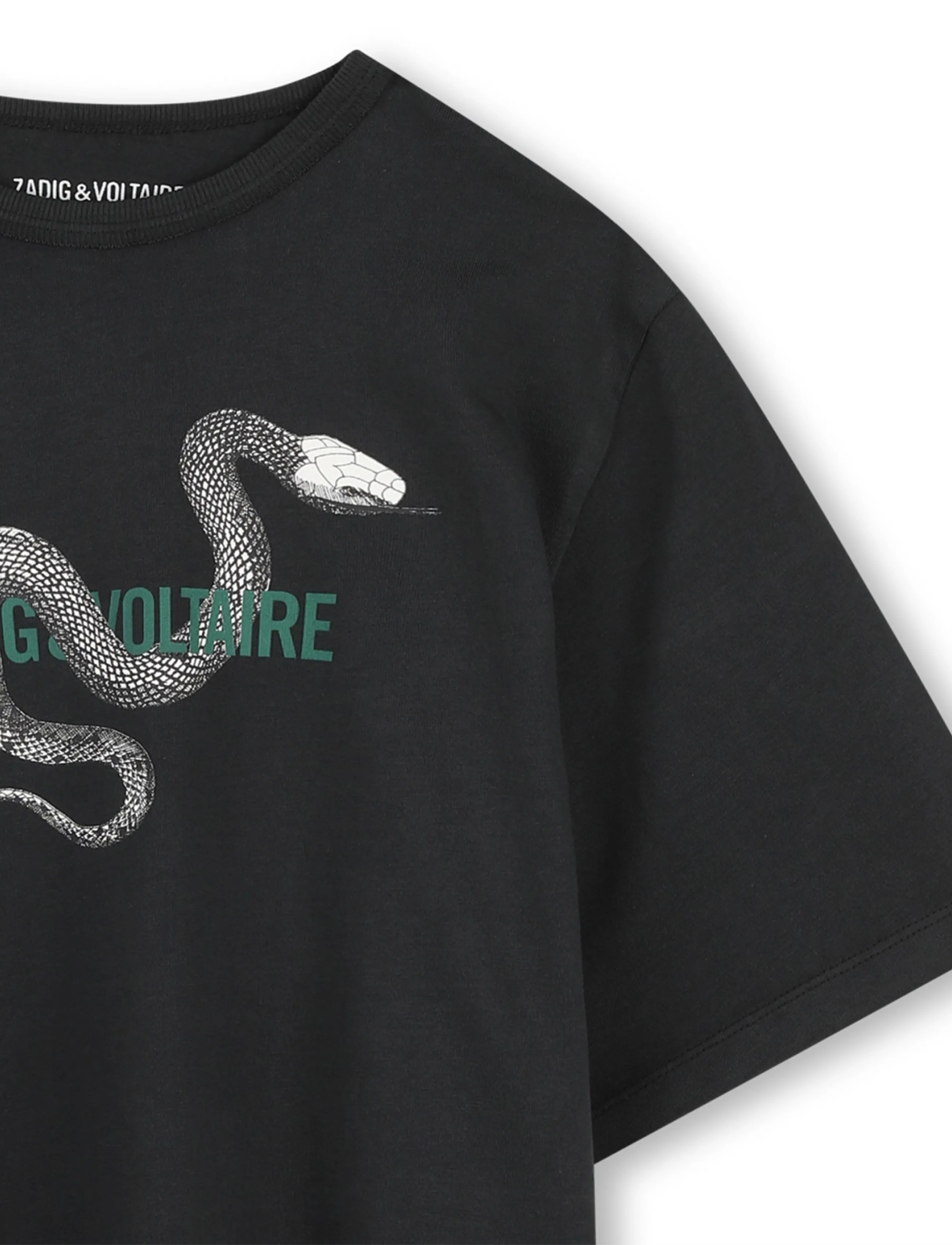 Zadig & Voltaire Kids - SHORT SLEEVES TEE-SHIRT - gloom - 4