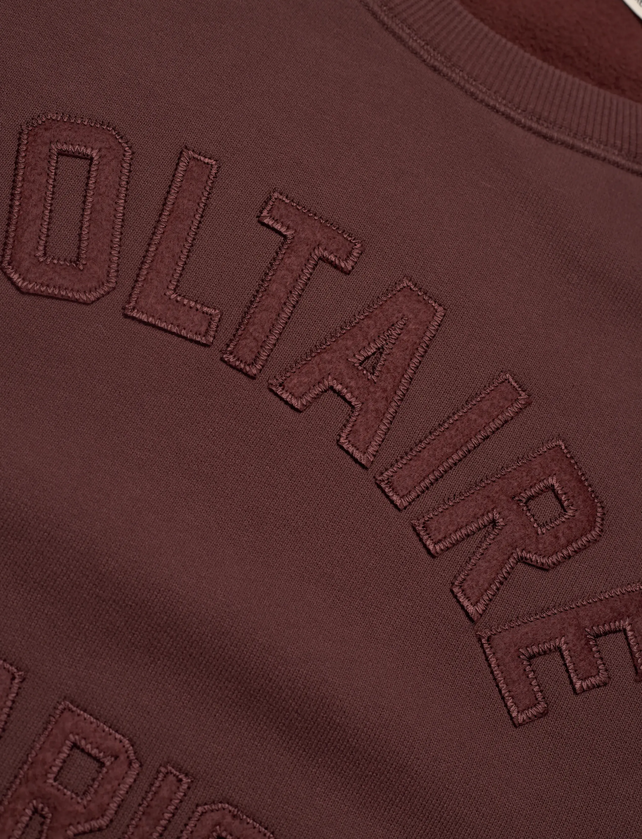Zadig & Voltaire - UPPER MO VOLTAIRE PARIS - sweatshirts & hættetrøjer - burgundy - 2