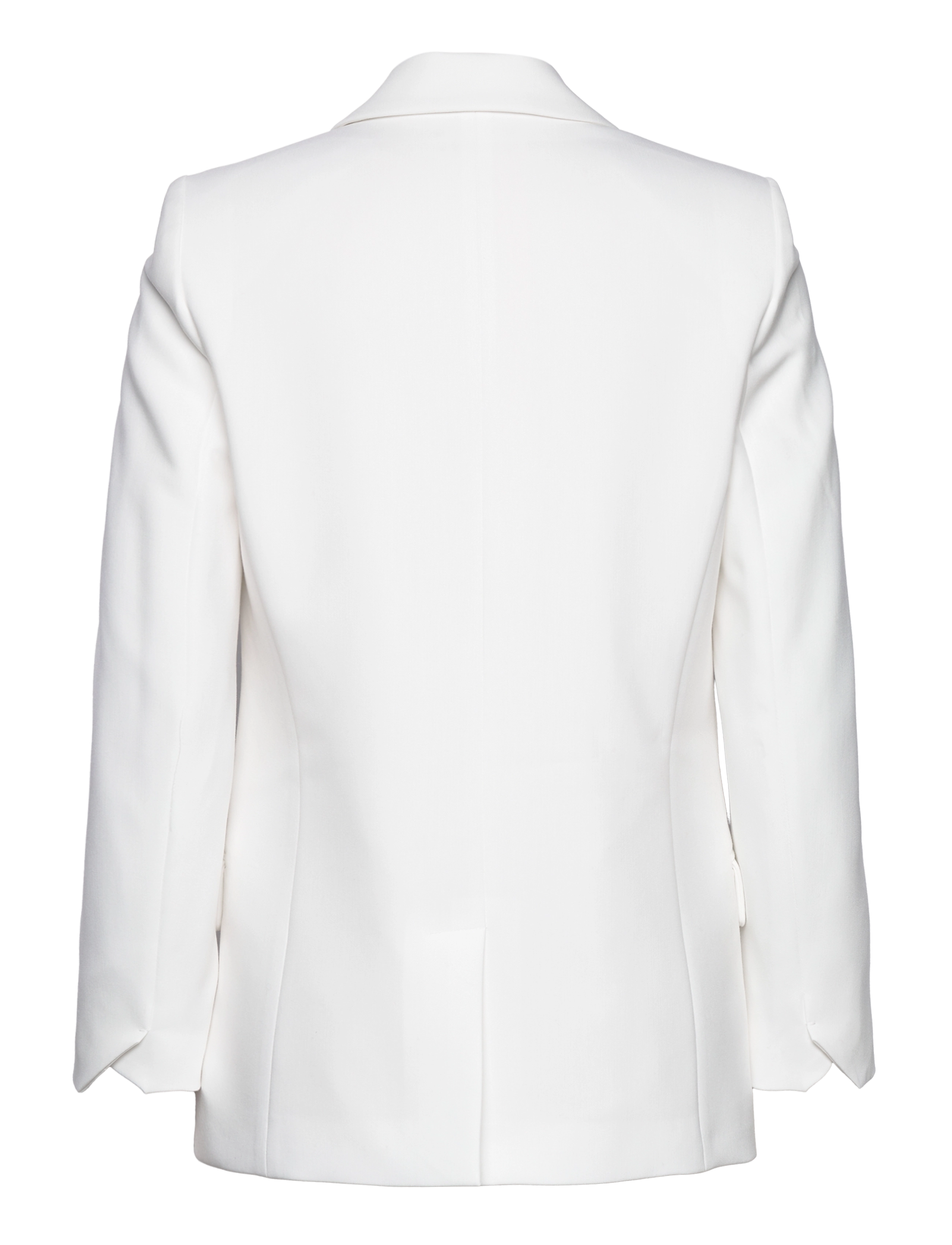 Zadig & Voltaire - VISIT TAILLEUR STRASS RAIN - kaksiriviset bleiserit - judo - 2