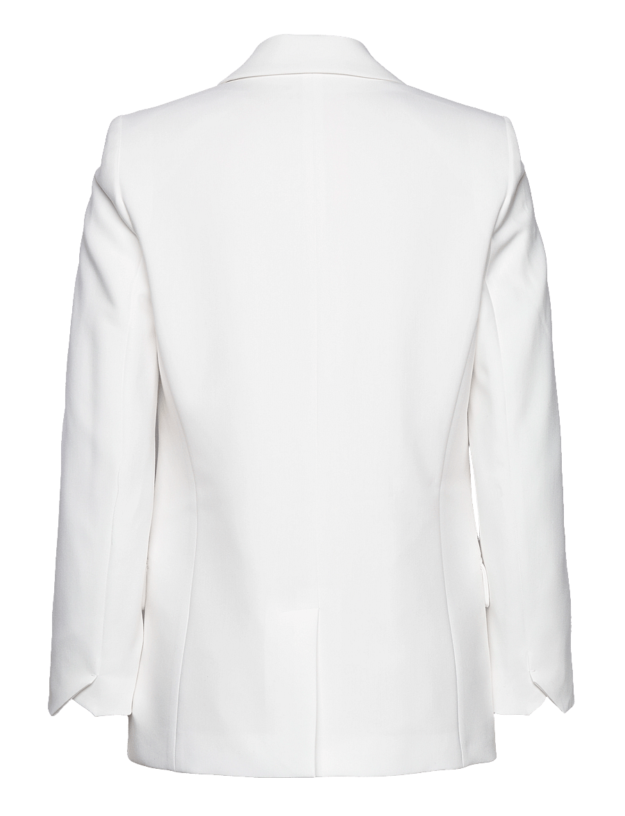 Zadig & Voltaire - VISIT TAILLEUR STRASS RAIN - kaksiriviset bleiserit - judo - 2