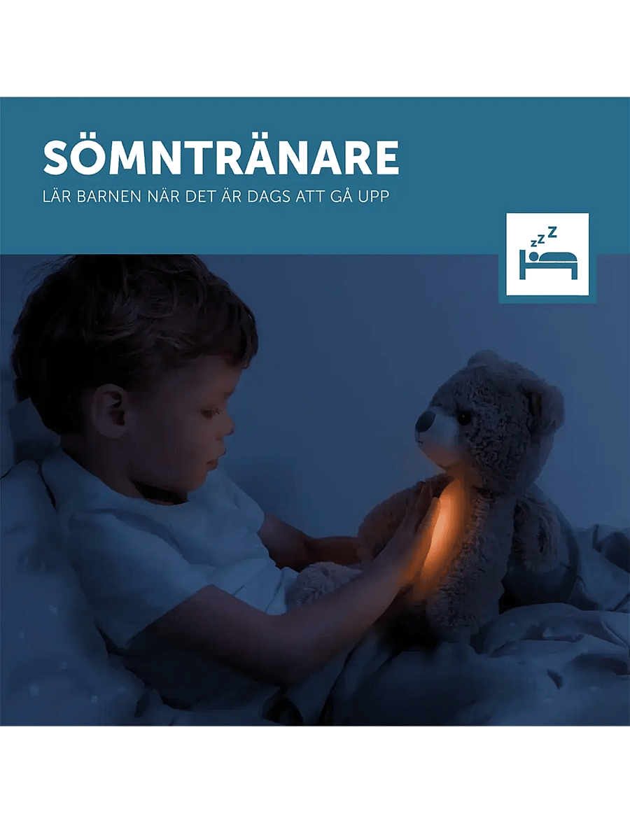 ZAZU - Brody the Bear Sleeptrainer - lampki nocne - brown - 1
