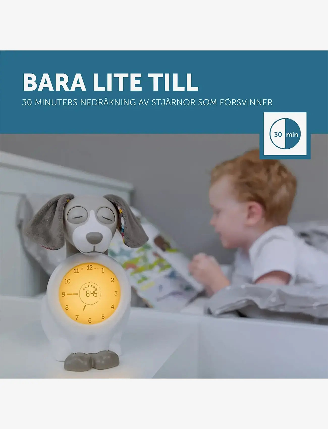 ZAZU - Davy the Dog Sleeptrainer - horloges - brown - 3