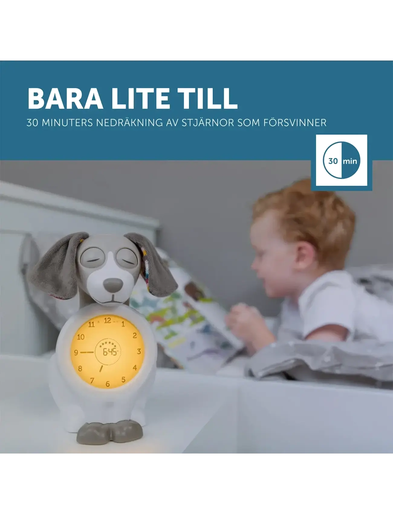 ZAZU - Davy the Dog Sleeptrainer - uhren - brown - 3