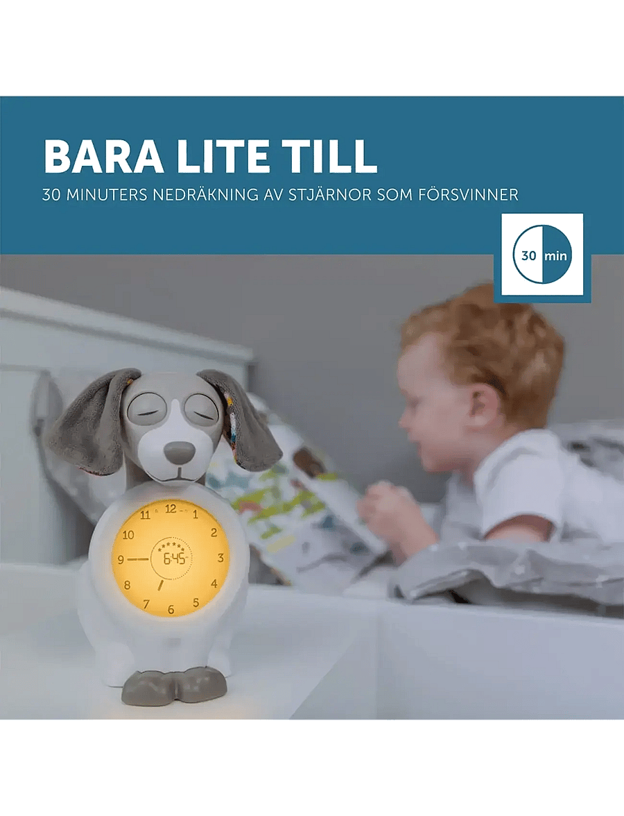 ZAZU - Davy the Dog Sleeptrainer - klockor - brown - 3