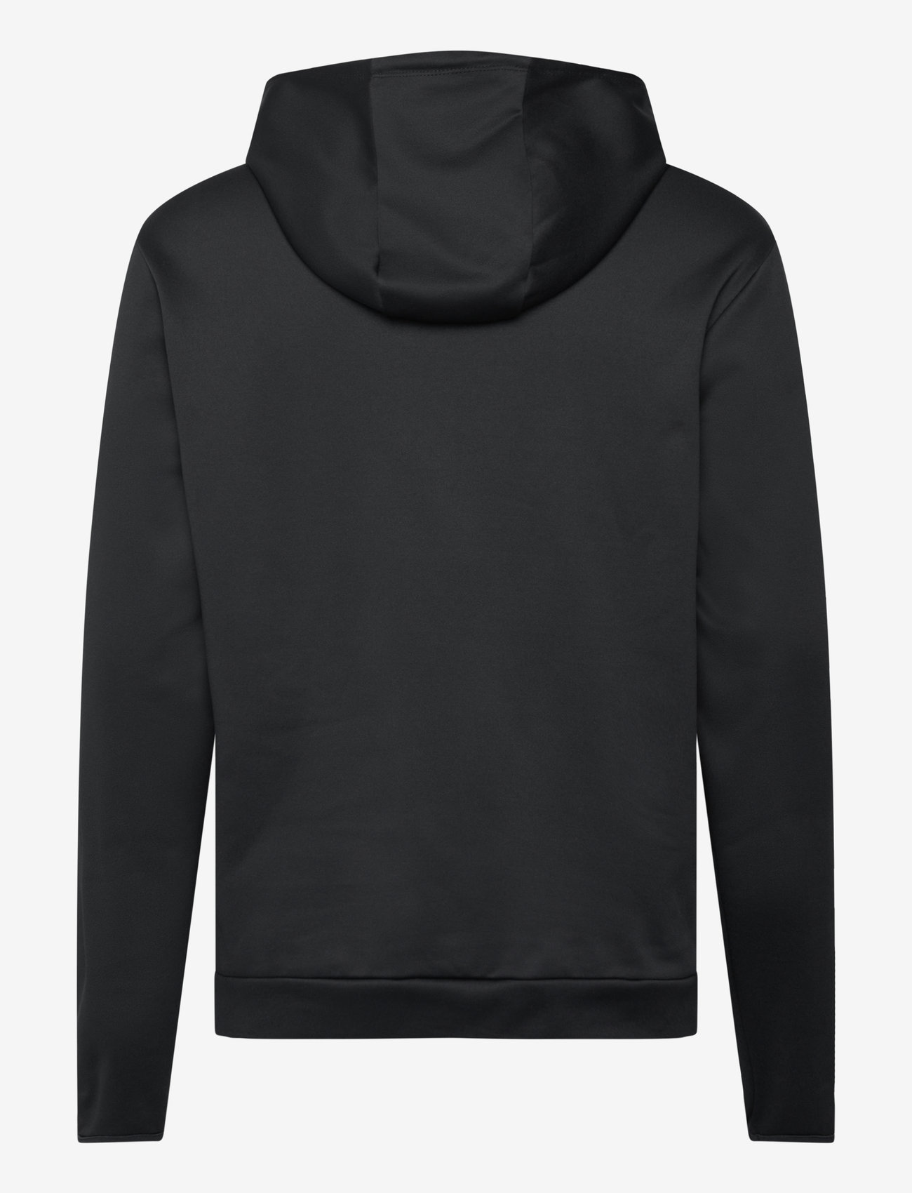 ZEBDIA - Men Hoodie - hættetrøjer - black - 1