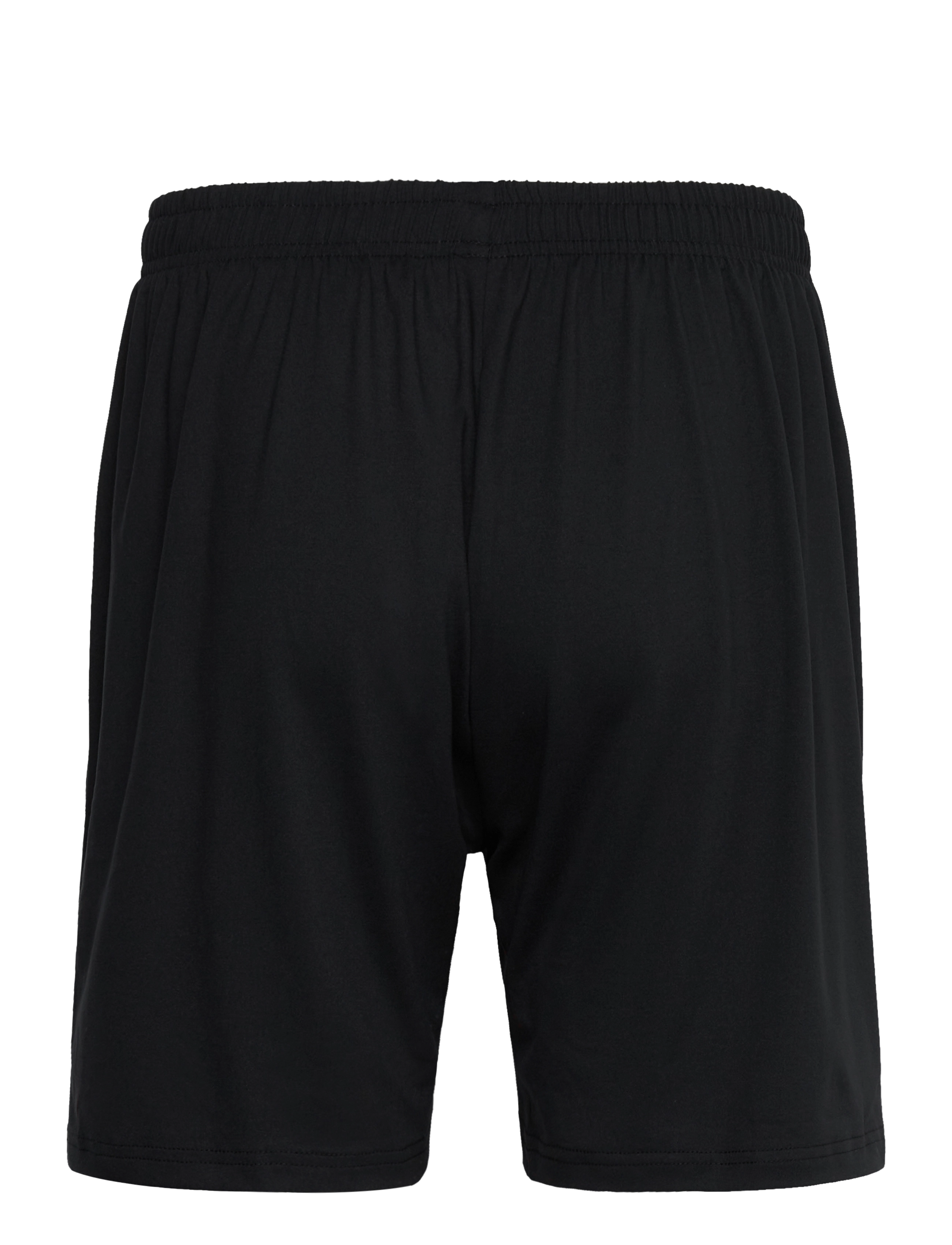 ZEBDIA - Men Padel Shorts - treniruočių šortai - black - 2
