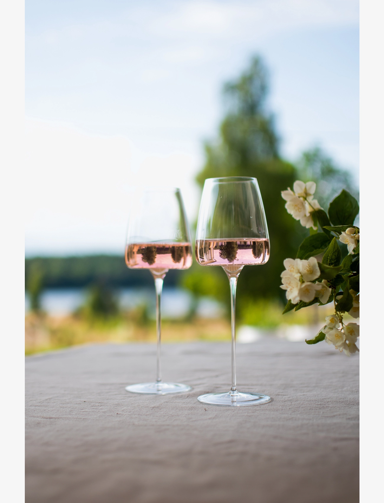 Zieher - Zieher vinglas Vision Fresh 2-pack - punaviinilasit - clear - 3
