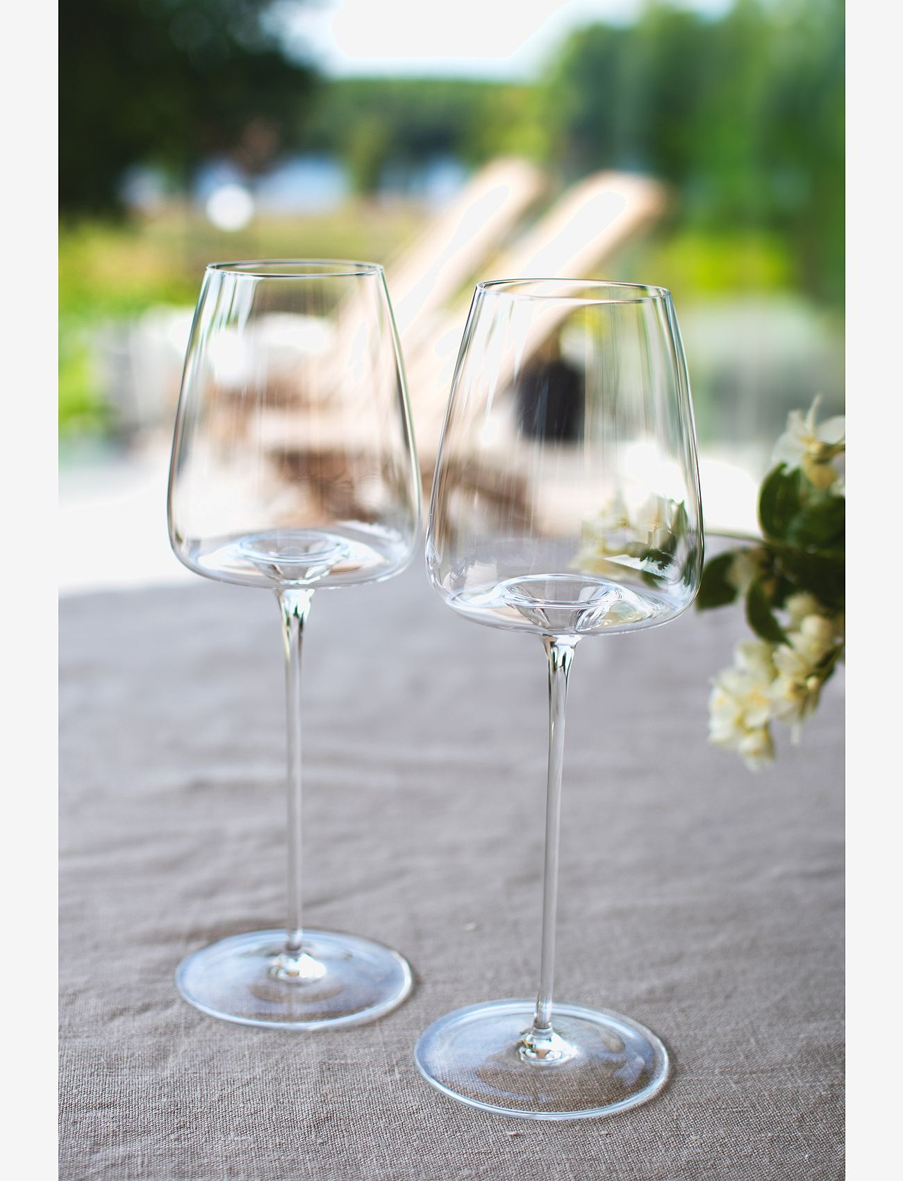 Zieher - Zieher vinglas Vision Fresh 2-pack - rödvinsglas - clear - 4