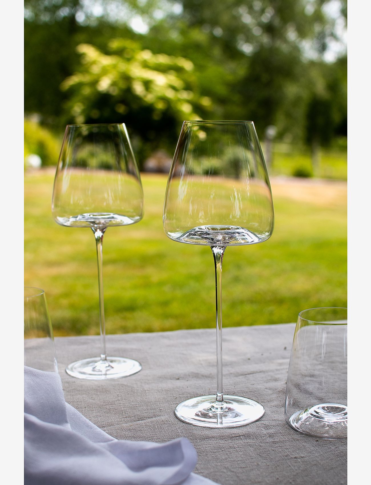 Zieher - Zieher vinglas Vision Intense 2-pack - wine glasses - clear - 1