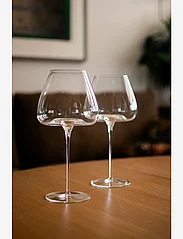 Zieher - Zieher vinglas Vision Balanced 2-pack - rode wijnglazen - clear - 2