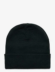 ZigZag - Rizzo Hat - lowest prices - scarab - 1