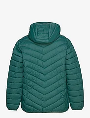 Zizzi - CASALLY, L/S, JACKET - winter jackets - green - 1