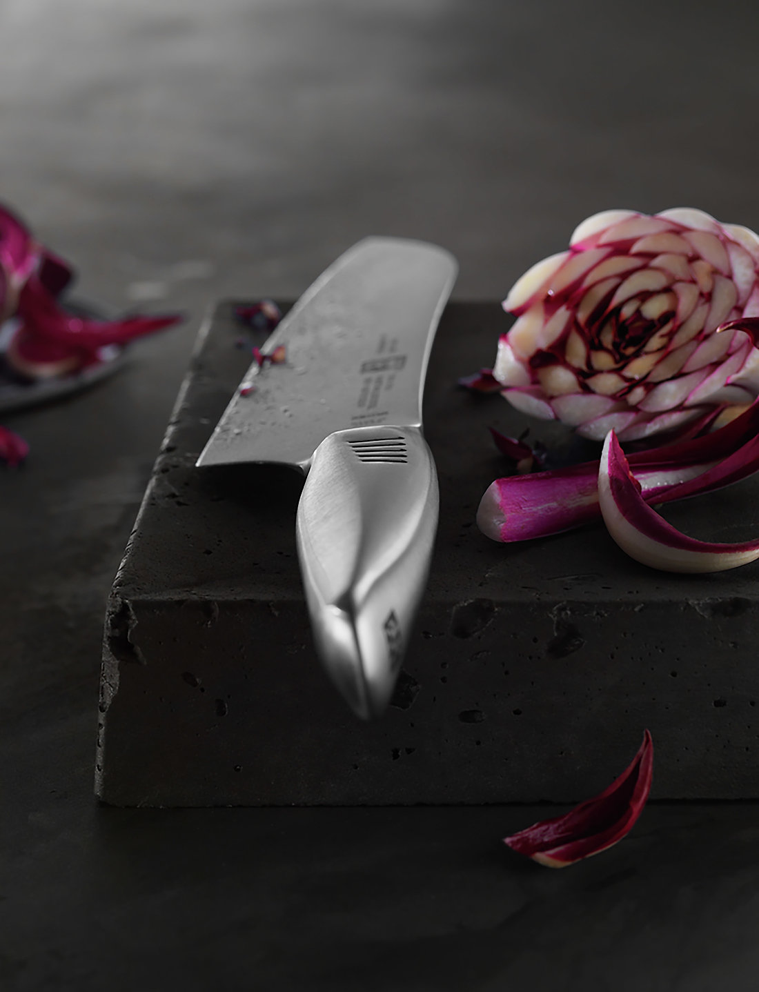 Zwilling - Kiritsuke - kokanoad - silver - 1