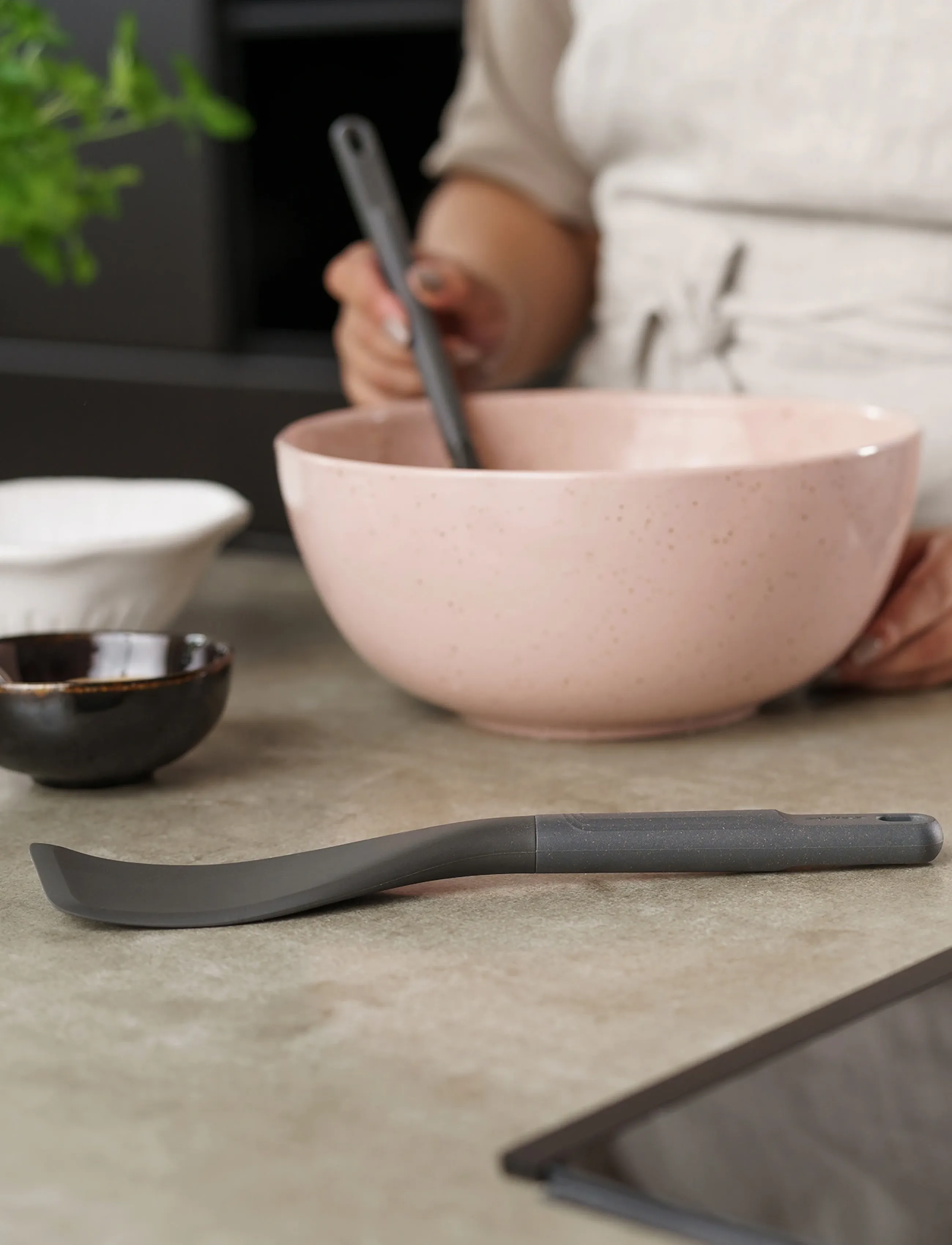 Zyliss - Easy Lift Beluga spatula ZYLISS® - naži zvīņu tīrīšanai un lāpstiņas - dark gray - 3